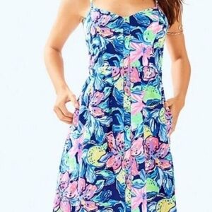 Lilly Pulitzer Blue and Pink Floral Dress
